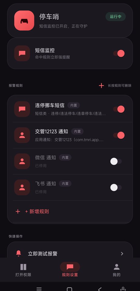 停车哨正在运行的主界面